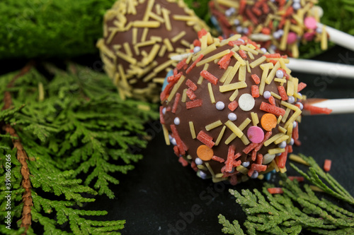 home made candy cake POPs in milk chocolate and multicolored topping on a dark background with a branch of thuja