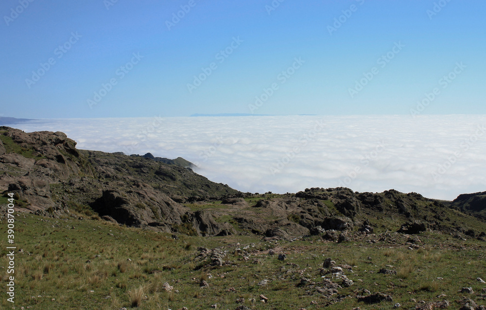 Above the sea of clouds. Beautiful view of the yellow meadow and white clouds, from the top of the hill. Above the sea of clouds. Beautiful view of the yellow meadow and white clouds, from the top of the hill.