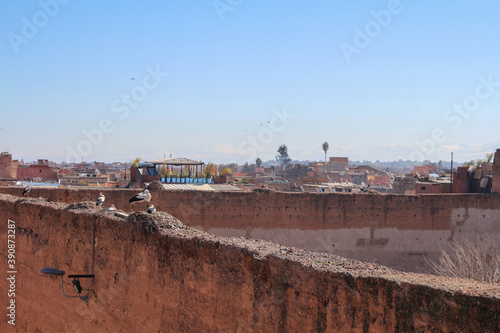 Ausblick über die Dächer von Marrakesch mit Blick auf die Berge © carolindr18