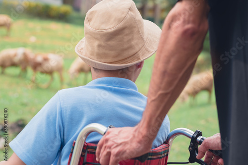 The back of Asian disabled child on wheelchair wearing a hat in the sheep farm,Boy very emotional,gentle with pet like a normal person, Lifestyle in the education age of happy disability kid concept.