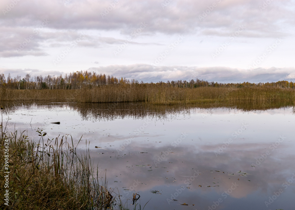 autumn landscape with a beautiful lake, colorful trees on the shore of the lake in autumn colors, reeds in the foreground, autumn autumn landscape with a beautiful lake, colorful trees on the shore of the lake in autumn colors, reeds in the foreground, autumn