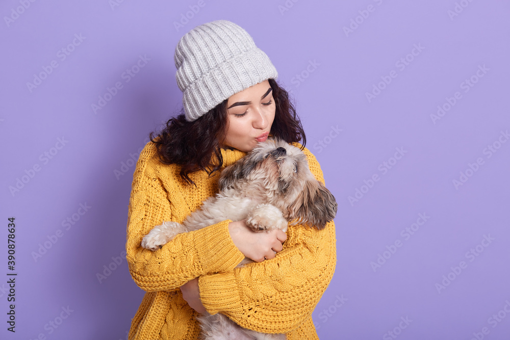 Beautiful young woman with funny Pekingese dog on lilac background, girl looks at her pet and wants to kiss puppy, lady in warm clothing and cap against lilac wall.