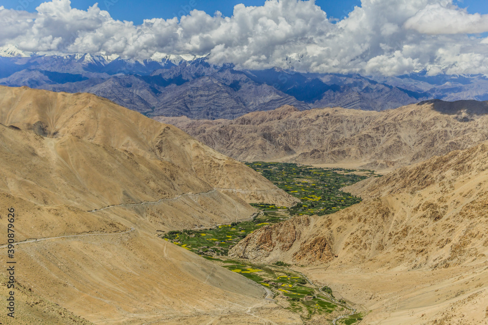 A view of a village in Ladakh