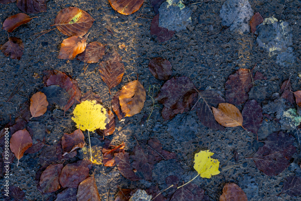 Herbstfarben Herbstfarben