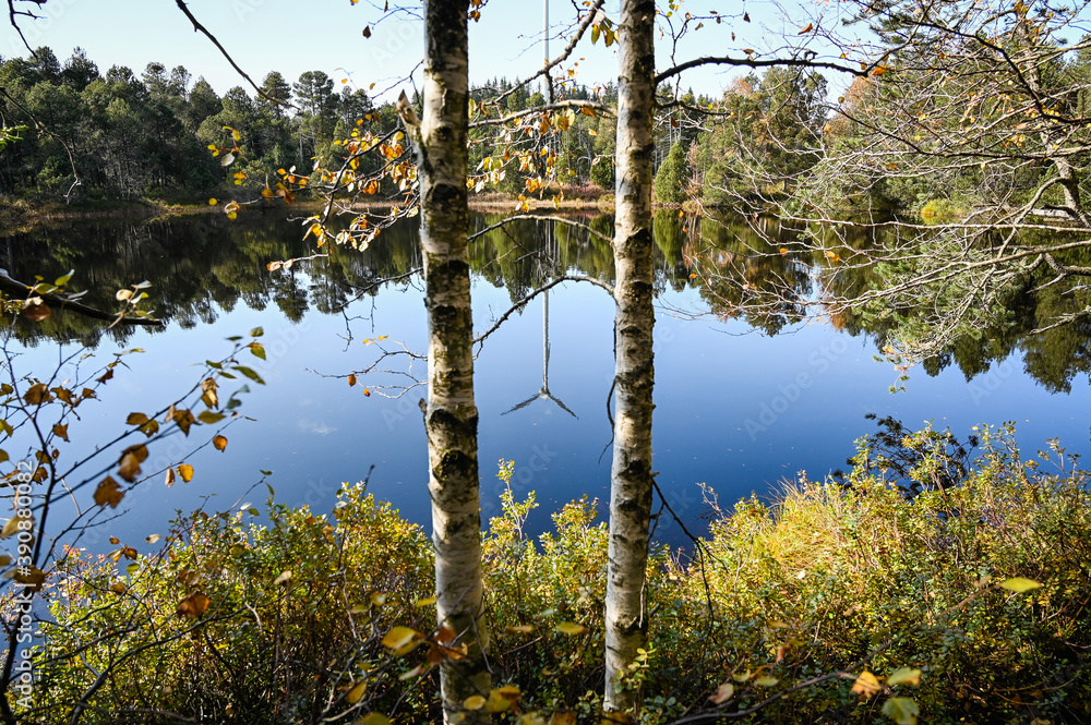 Obraz premium Autumnal view between two birches standing at the edge of the Blind Lake. A wind power station is reflected in the dark water of the lake.