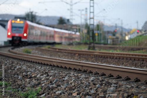 Gleisbett mit Gleisschotter und Schienenstrang und Nahverkehrszug in einer Kurve auf der Rheinstrecke bei Leutesdorf am Mittelrhein in Rheinland-Pfalz- Stockfoto