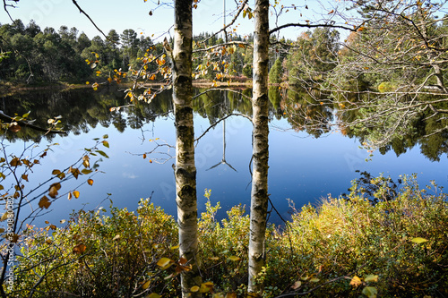 Autumnal view between two birches standing at the edge of the Blind Lake. A wind power station is reflected in the dark water of the lake. photo