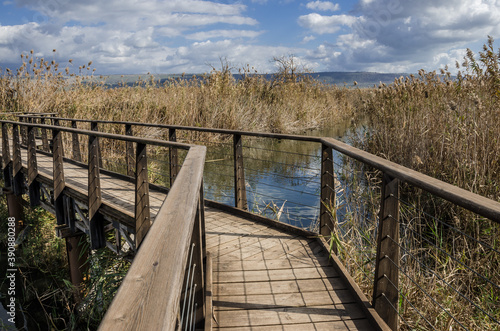 Hula nature reserve marshes wetland in Hula valley, lies within the northern part of Syrian-African Rift, between the Golan Heights in the east and Upper Galilee mountains in the west, Israel.