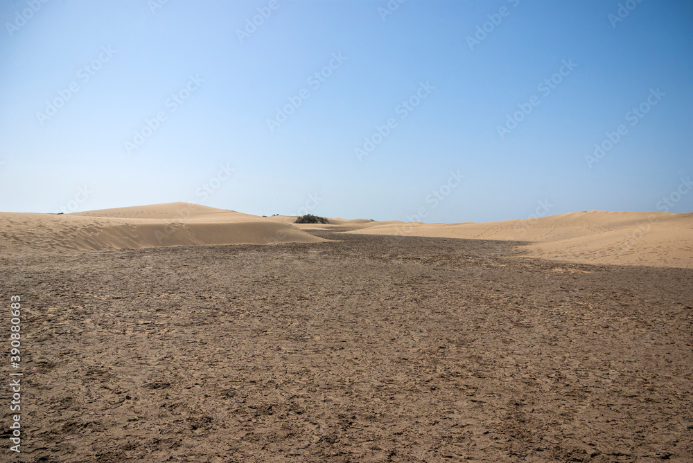 Dune landscape in the south of Gran Canaria, Canary Islands, Spain Dune landscape in the south of Gran Canaria, Canary Islands, Spain