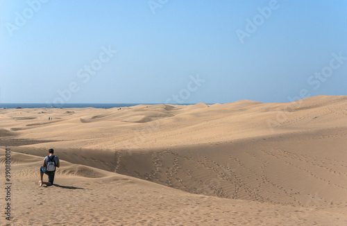 Dune landscape in the south of Gran Canaria  Canary Islands  Spain