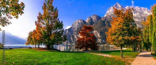 Fotografie Wonderful autumn scenery
