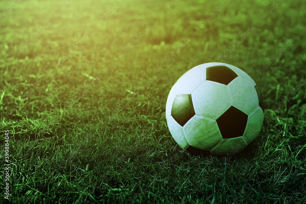 Fototapeta premium football on green grass field , soccer ball