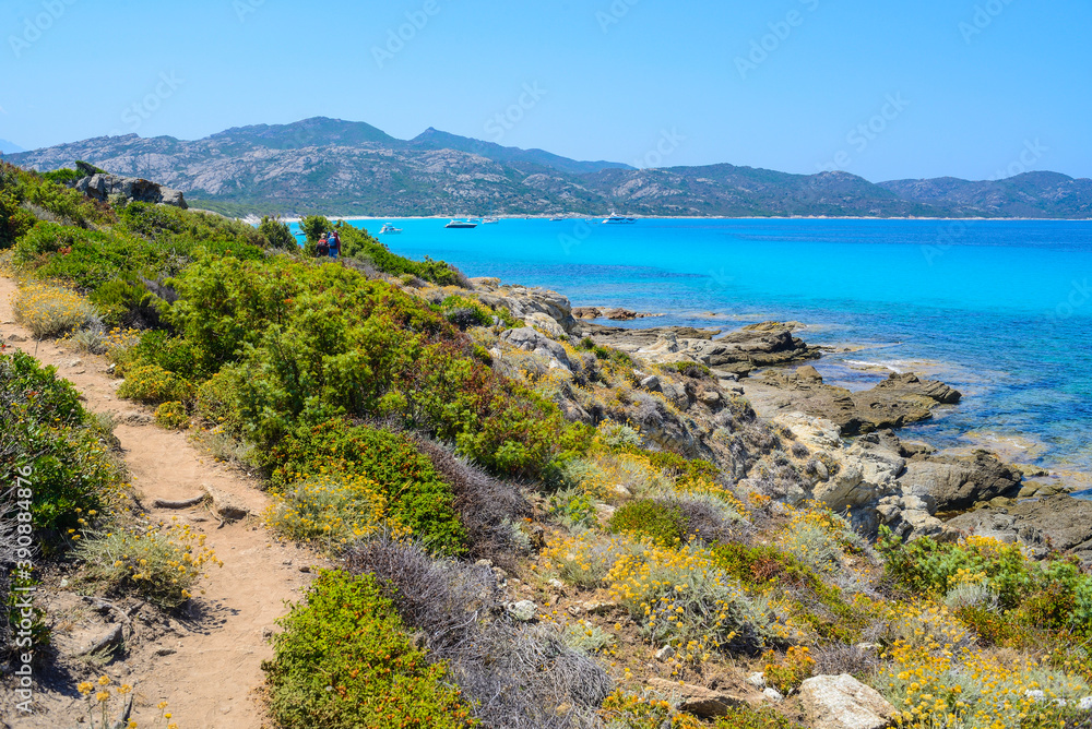 Randonnée entre la plage du Lotu et la plage de Saleccia, désert des Agriates Randonnée entre la plage du Lotu et la plage de Saleccia, désert des Agriates