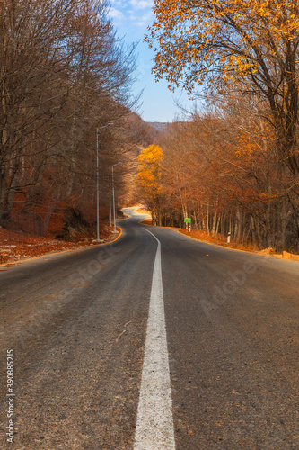 Winding mountain road through autumn forest