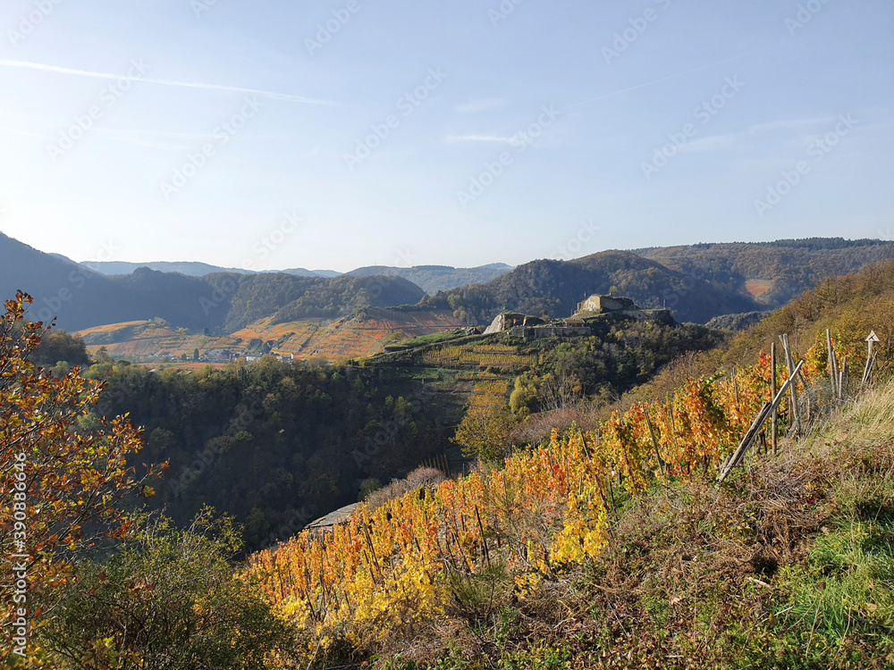 Fototapeta premium Herbstfarben im Ahrtal