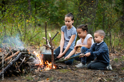 Children sitting near campfire in forest