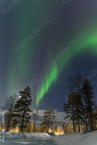 aurora boreal en vertical © alexandra_pp