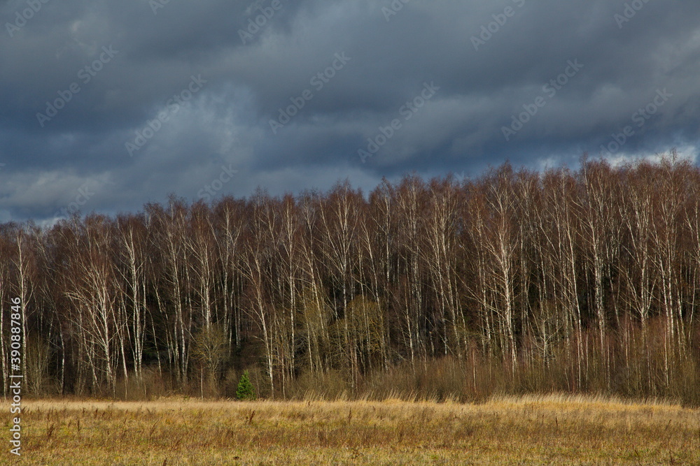 Pre-storm sky over the autumn forest. Pre-storm sky over the autumn forest.