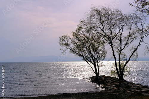 滋賀県の琵琶湖