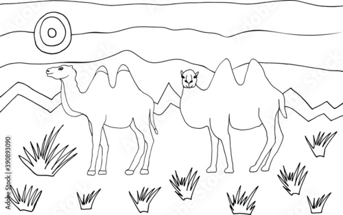 Coloring page with caravan of camels in hot desert. Hand drawn coloring book for children and adults.