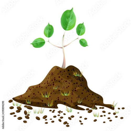 Seedling in soil pile isolated on white background. Pile of dirt and growing green sapling. Sprout shoot germination in the earth. Young tree growing in the ground. Arbor day. Earth day. Stock vector
