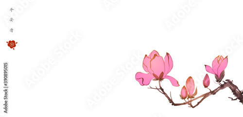 Pink magnolia flowers in oriental style on white  background. Translation of hieroglyphs  - peace, tranquility, clarity