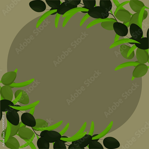 Vector circular frame from the branches of olives. Different degree of ripeness. Decor element