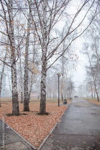 Late autumn in the city. Fog, rare leaves on the trees.