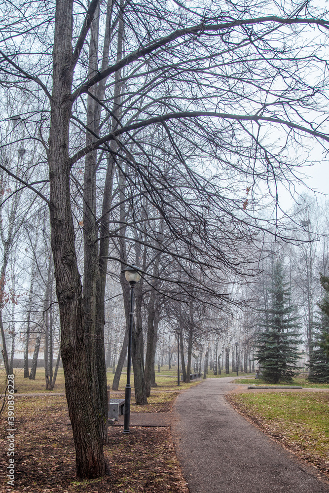 Late autumn in the city. Fog, alley, trees without leaves. Graphics of branches. Late autumn in the city. Fog, alley, trees without leaves. Graphics of branches.