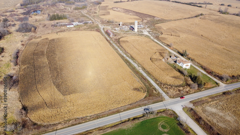 Aerial Scenic View of Nature Landscape with Fields and Trees during Autumn 
