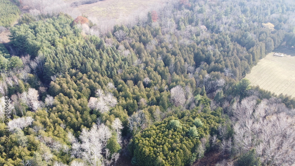 Aerial Scenic View of Nature Landscape with Fields and Trees during Autumn Aerial Scenic View of Nature Landscape with Fields and Trees during Autumn