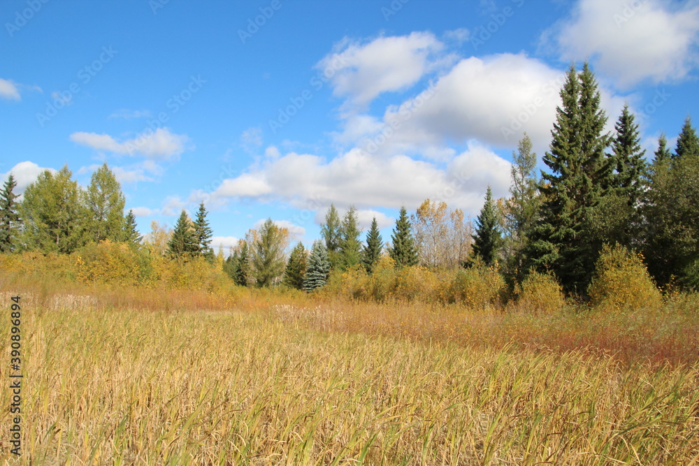 Grasslands, Gold Bar Park, Edmonton, Alberta