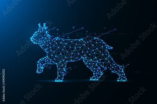 Lynx in polygonal style. Wild cat made from lines and dots. Abstract art