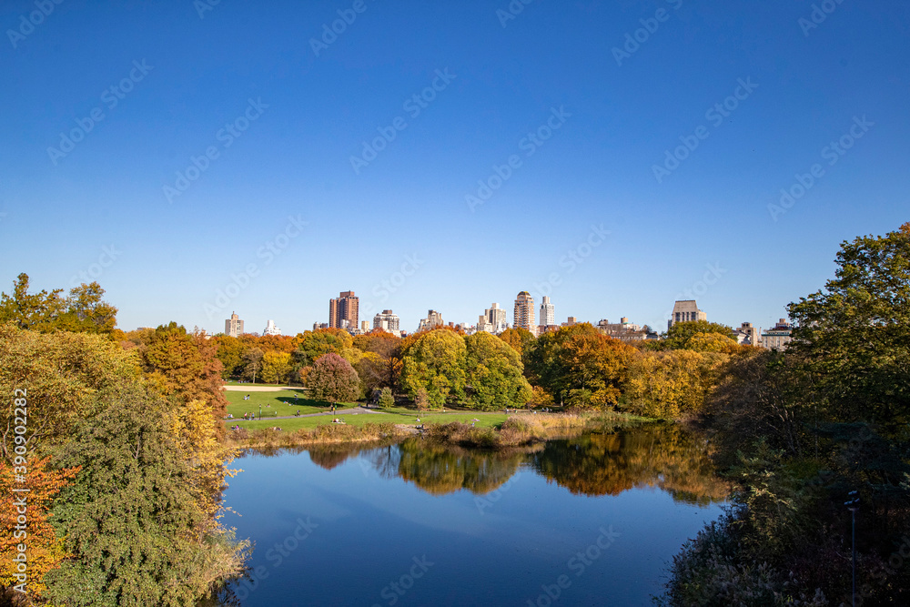 Trees and buildings are seen from Belvedere Castle