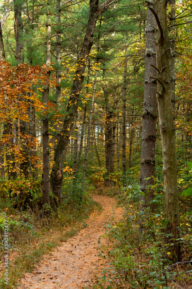 Hiking Trail Hiking Trail