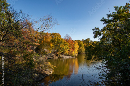 Fototapeta Naklejka Na Ścianę i Meble -  Trees reflect off the Lake in Central Park, New York City