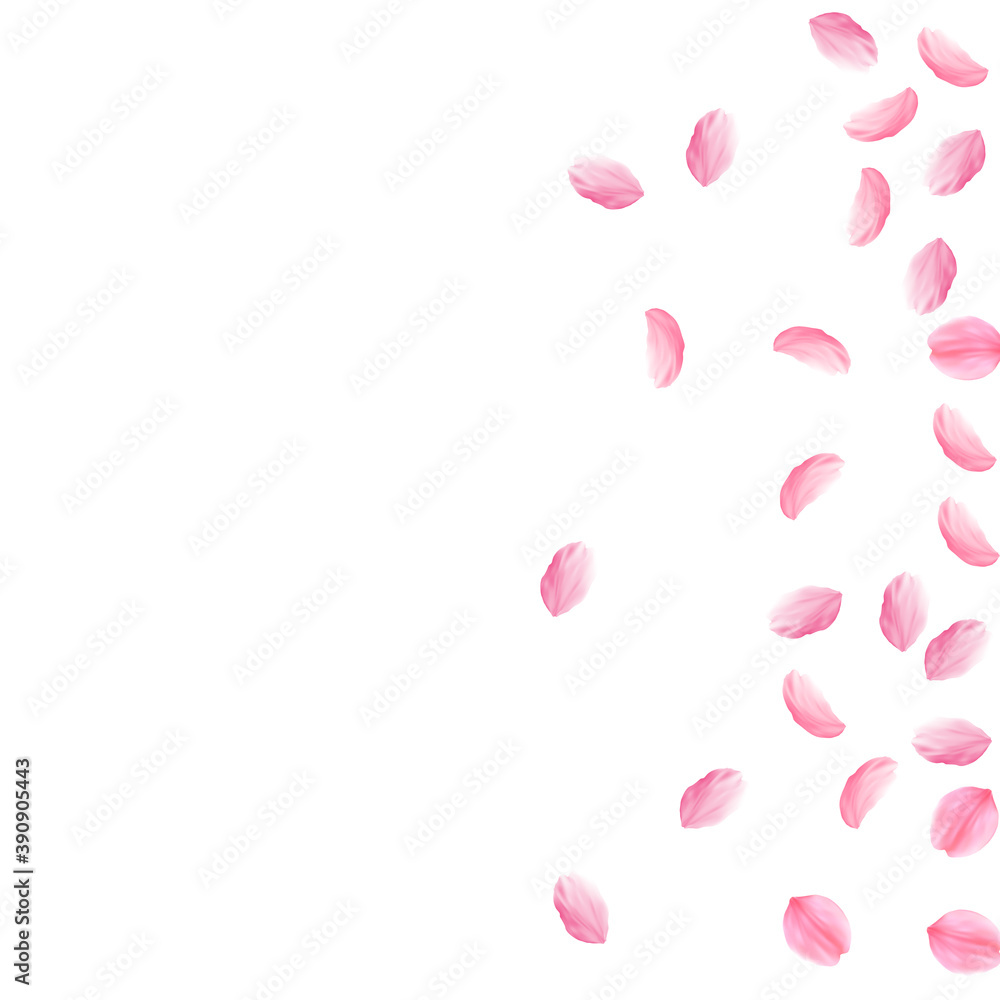 Sakura petals falling down. Romantic pink silky me