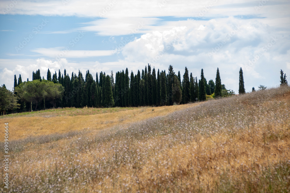 san quirico d'orcia san quirico d'orcia
