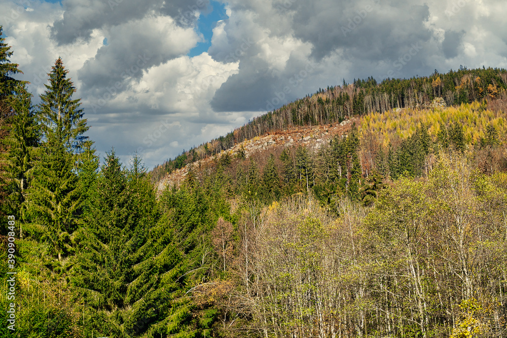 Obraz na plátně Landschaft im Herbst