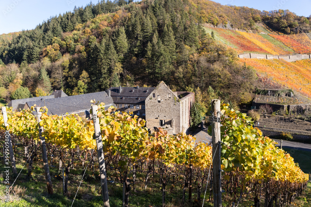 Herbst in den WEinbergen oberhalb des Klosters Marienthal Herbst in den WEinbergen oberhalb des Klosters Marienthal