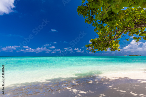 Fototapeta Naklejka Na Ścianę i Meble -  Tropical beach in Maldives with palm trees and vibrant lagoon