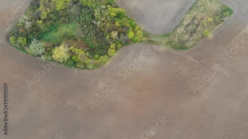 Rybi Gaj, Las w kształcie ryby pośrodku pola, widziany tylko zlotu ptaka. Wielkopolska photo