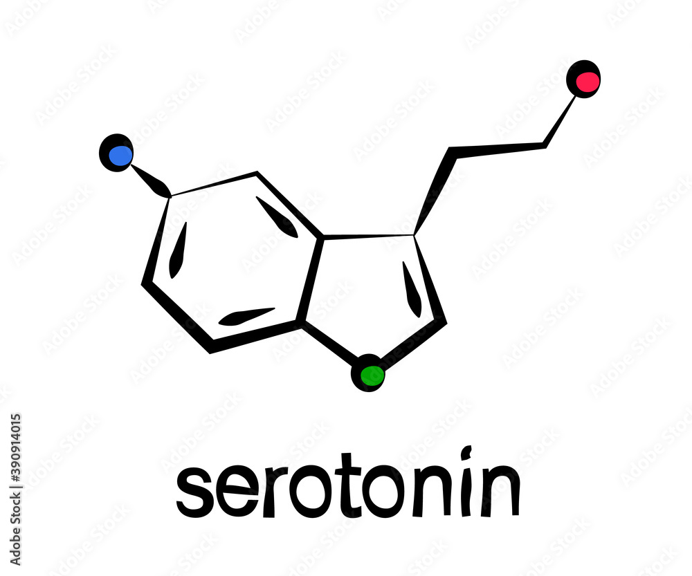 The chemical formula of serotonin. Vector illustration. The chemical formula of serotonin. Vector illustration.