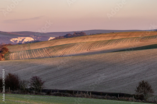 Evening Light over the South Downs
