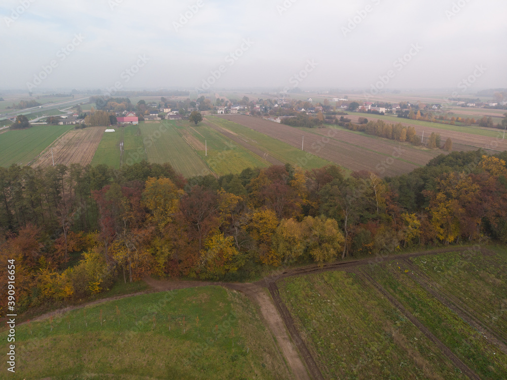 Jesienny krajobraz Mazowsza/Autumn landscape of Mazovia
