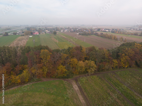 Obraz na płótnie Jesienny krajobraz Mazowsza/Autumn landscape of Mazovia w salonie