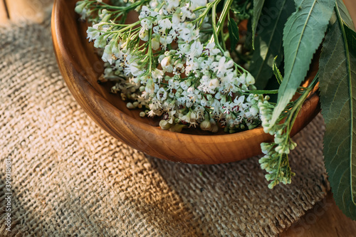 Buquet Valerian on wooden plate. Collecting medicinal herbs during flowering. White fresh valerian flowers in alternative medicine as a sedative and tranquilizer.