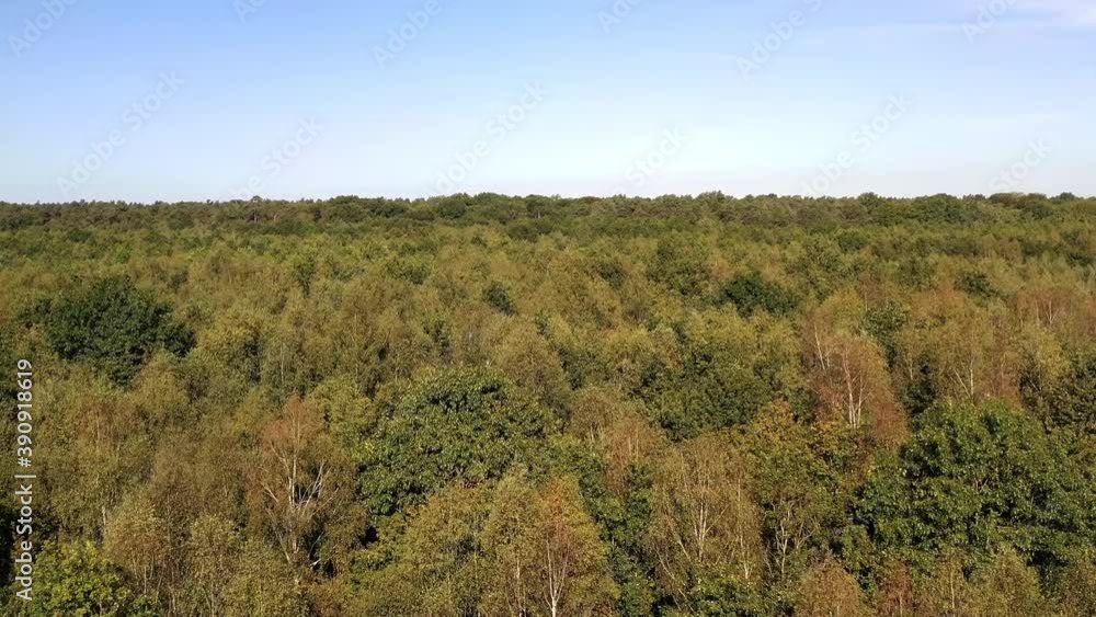 survol de la Forêt de Rambouillet survol de la Forêt de Rambouillet