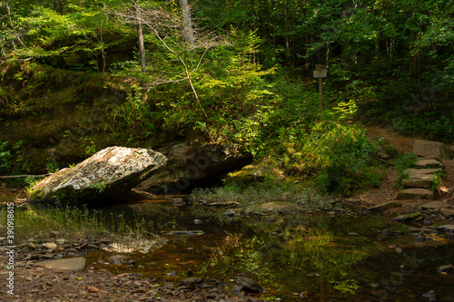 Bell Smith Springs