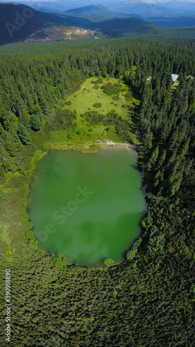 

Aerial drone view over Sureanu glacial lake surrounded by an alpine pasture and dense, wild spruce forests. Sureanu Massif, Carpathia, Romania photo